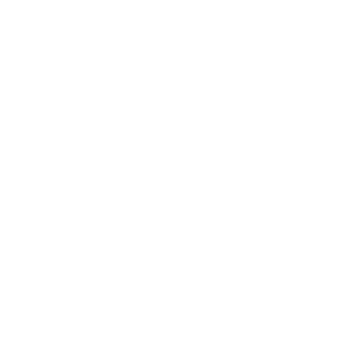 Blitz T Club — Tesla Owners Community Logo